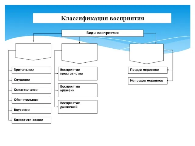 Классификация восприятия Слуховое Зрительное Восприятие времени Восприятие пространства Непреднамеренное Преднамеренное Кинестетическое