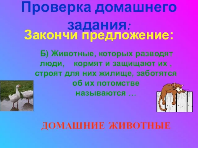 Проверка домашнего задания: Закончи предложение: Б) Животные, которых разводят люди, кормят