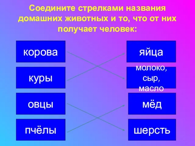 Соедините стрелками названия домашних животных и то, что от них получает