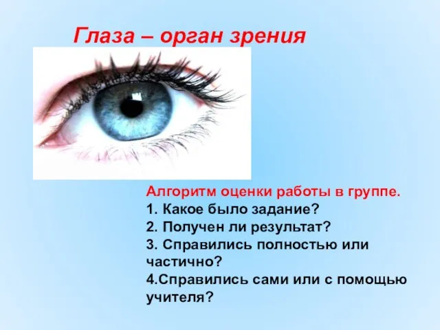 Глаза – орган зрения Алгоритм оценки работы в группе. 1. Какое