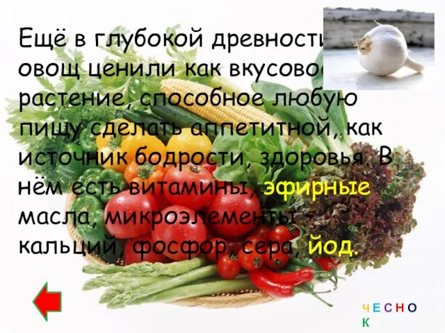 Ещё в глубокой древности этот овощ ценили как вкусовое растение, способное