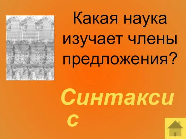 Какая наука изучает члены предложения? Синтаксис