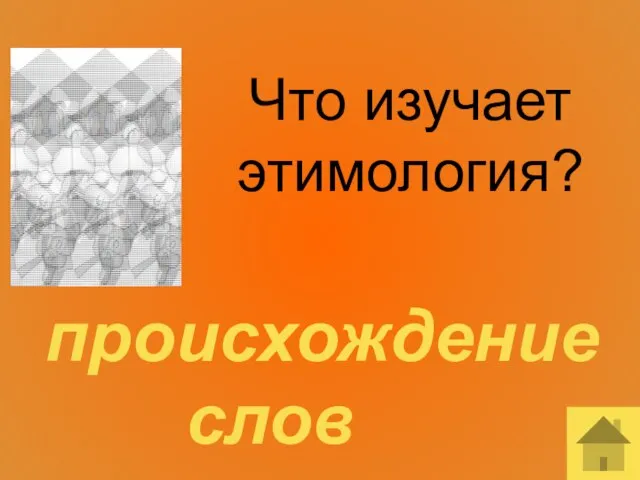 Что изучает этимология? происхождение слов