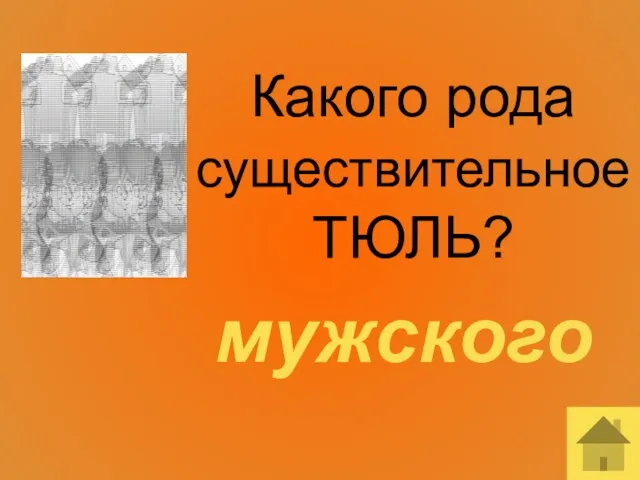 Какого рода существительное ТЮЛЬ? мужского