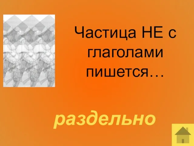 Частица НЕ с глаголами пишется… раздельно