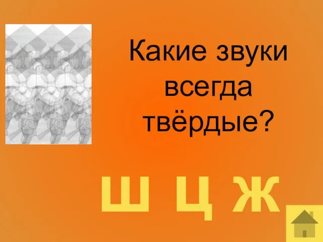 Какие звуки всегда твёрдые? ш ц ж