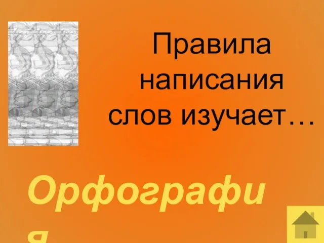 Правила написания слов изучает… Орфография