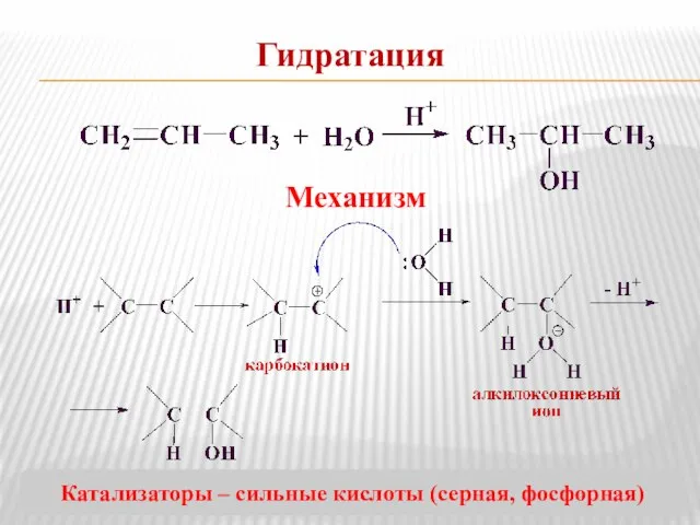 Гидратация Механизм Катализаторы – сильные кислоты (серная, фосфорная)