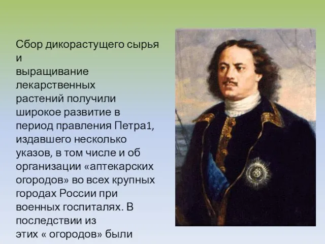 Сбор дикорастущего сырья и выращивание лекарственных растений получили широкое развитие в