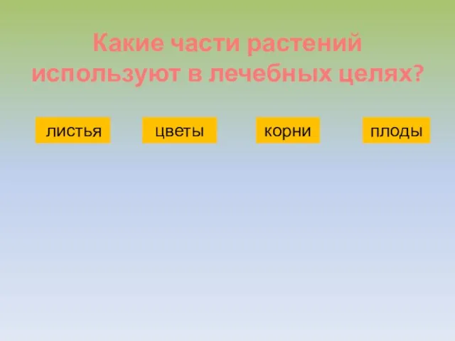 Какие части растений используют в лечебных целях? листья цветы корни плоды