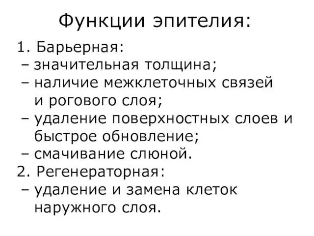 Функции эпителия: 1. Барьерная: значительная толщина; наличие межклеточных связей и рогового