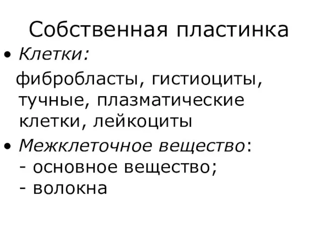 Собственная пластинка Клетки: фибробласты, гистиоциты, тучные, плазматические клетки, лейкоциты Межклеточное вещество: - основное вещество; - волокна