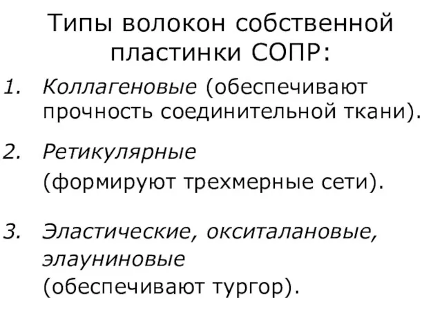 Типы волокон собственной пластинки СОПР: Коллагеновые (обеспечивают прочность соединительной ткани). Ретикулярные