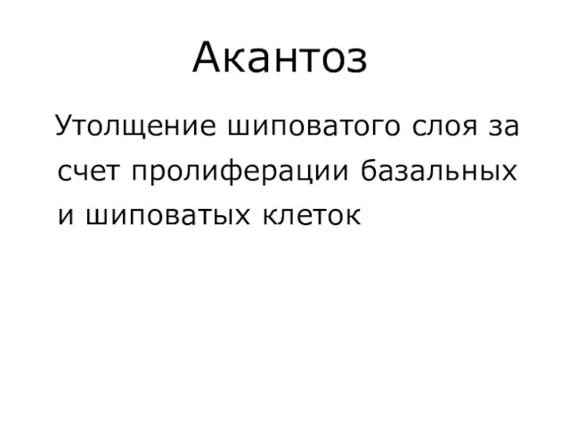 Акантоз Утолщение шиповатого слоя за счет пролиферации базальных и шиповатых клеток