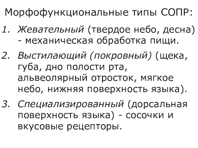 Морфофункциональные типы СОПР: Жевательный (твердое небо, десна) - механическая обработка пищи.