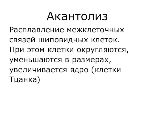 Акантолиз Расплавление межклеточных связей шиповидных клеток. При этом клетки округляются, уменьшаются