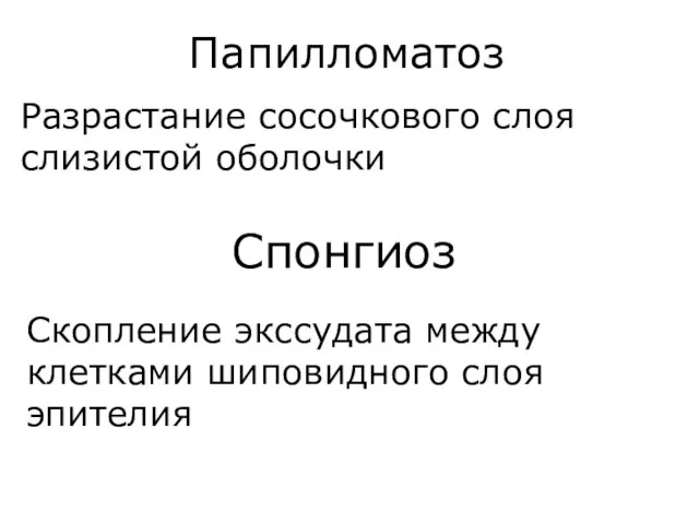 Папилломатоз Разрастание сосочкового слоя слизистой оболочки Спонгиоз Скопление экссудата между клетками шиповидного слоя эпителия