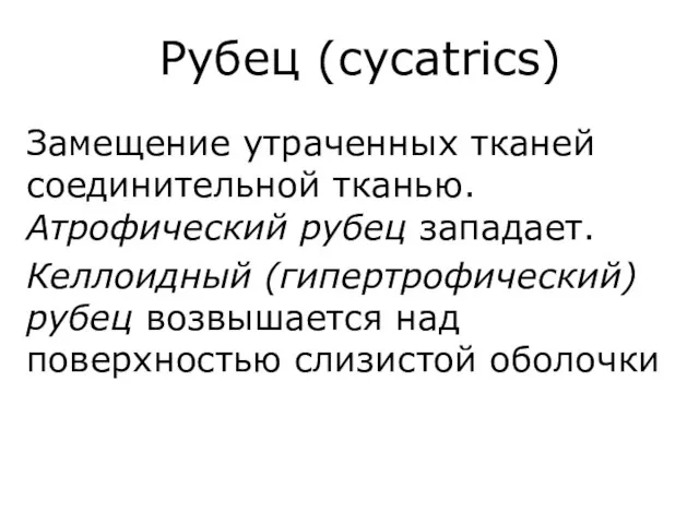 Рубец (cycatrics) Замещение утраченных тканей соединительной тканью. Атрофический рубец западает. Келлоидный