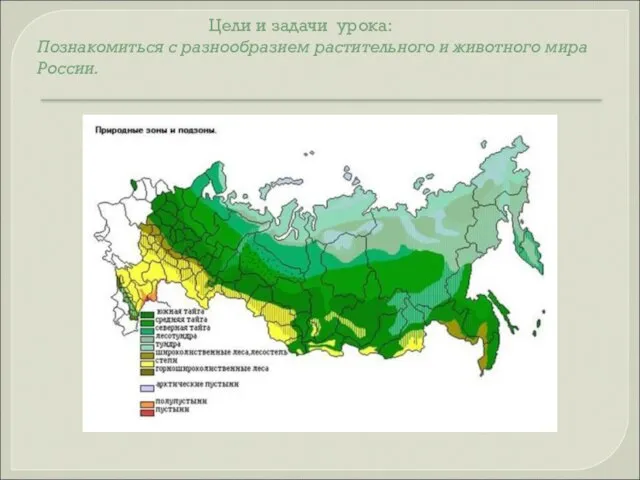 Цели и задачи урока: Познакомиться с разнообразием растительного и животного мира России.