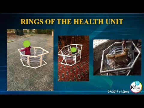 RINGS OF THE HEALTH UNIT