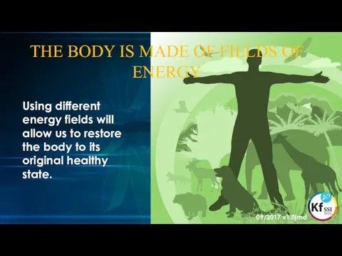 THE BODY IS MADE OF FIELDS OF ENERGY Using different energy