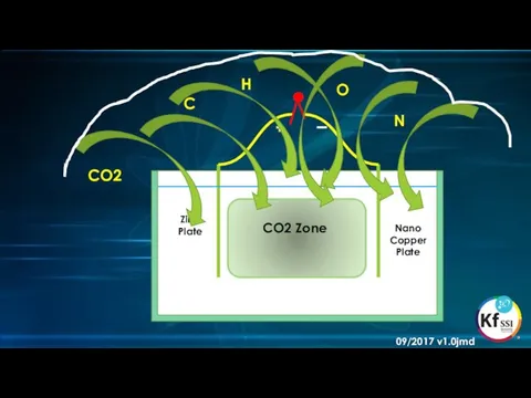 Zinc Plate Nano Copper Plate CO2 CO2 Zone C H O N