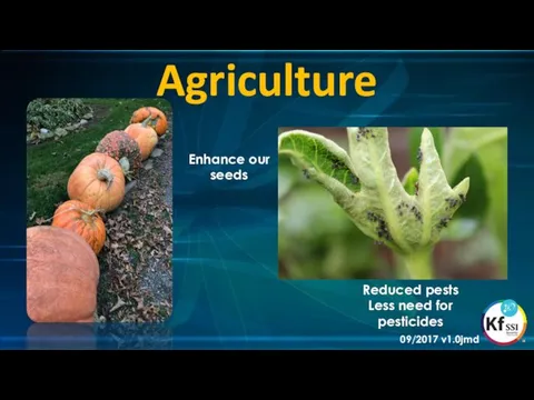 Agriculture Enhance our seeds Reduced pests Less need for pesticides