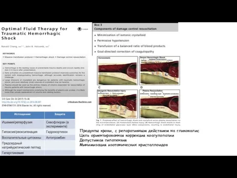 Продукты крови, с репаративным действием на гликокалис Цель ориентированная коррекция коагулопатии Допустимая гипотензия Минимизация изотонических кристаллоидов