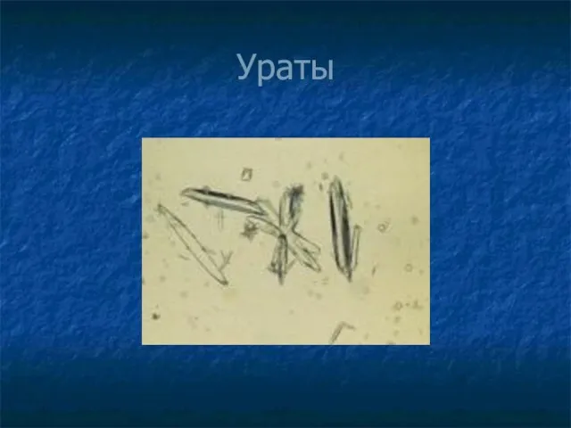 Ураты