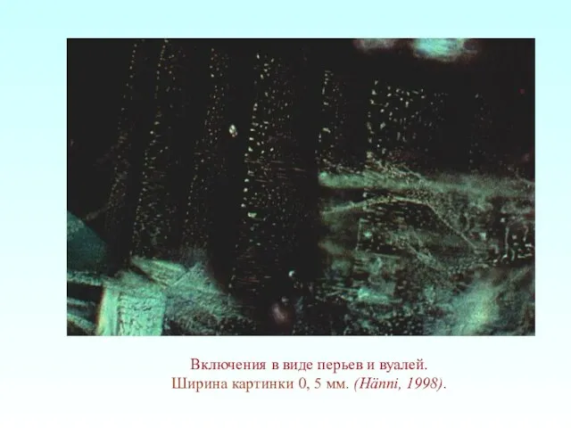 Включения в виде перьев и вуалей. Ширина картинки 0, 5 мм. (Hänni, 1998).