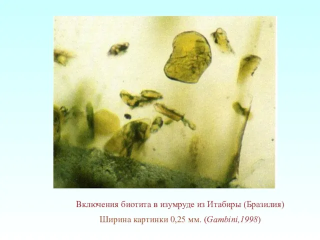 Включения биотита в изумруде из Итабиры (Бразилия) Ширина картинки 0,25 мм. (Gambini,1998)