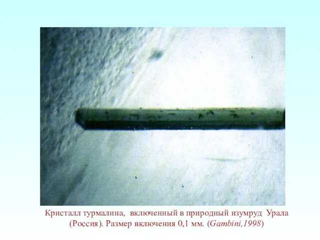Кристалл турмалина, включенный в природный изумруд Урала (Россия). Размер включения 0,1 мм. (Gambini,1998)