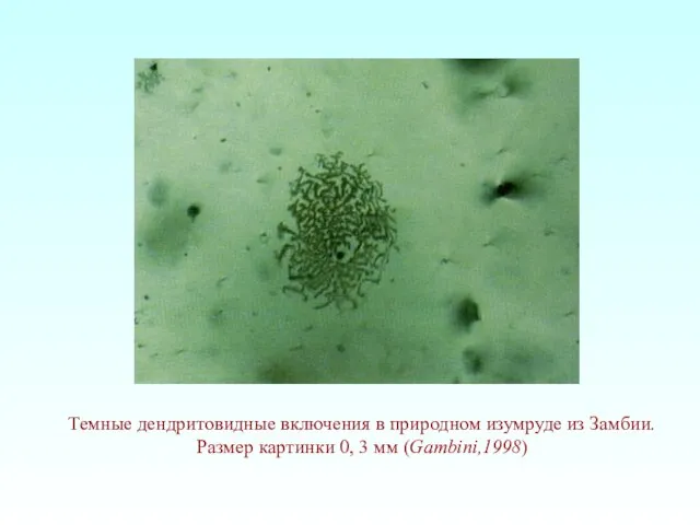 Темные дендритовидные включения в природном изумруде из Замбии. Размер картинки 0, 3 мм (Gambini,1998)