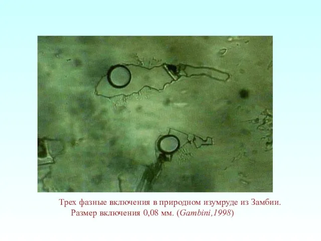 Трех фазные включения в природном изумруде из Замбии. Размер включения 0,08 мм. (Gambini,1998)