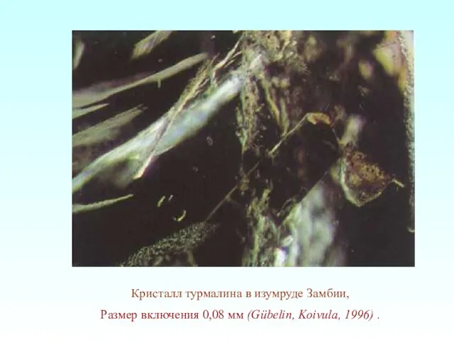 Кристалл турмалина в изумруде Замбии, Размер включения 0,08 мм (Gübelin, Koivula, 1996) .