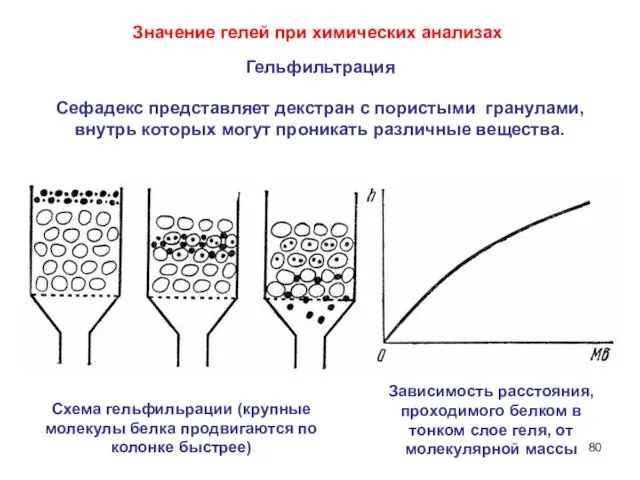 Сефадекс представляет декстран с пористыми гранулами, внутрь которых могут проникать различные