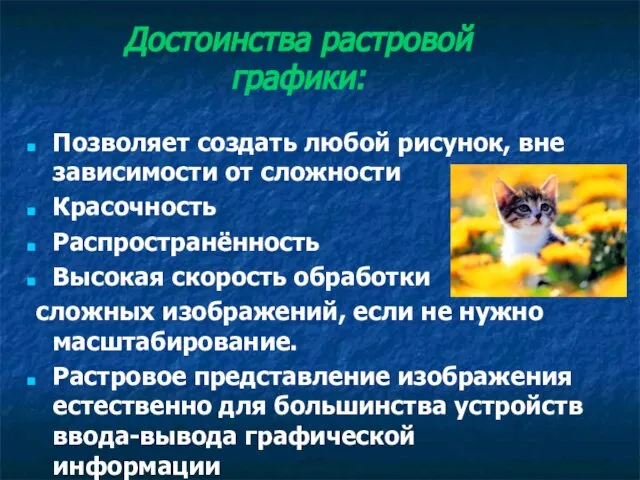 Достоинства растровой графики: Позволяет создать любой рисунок, вне зависимости от сложности