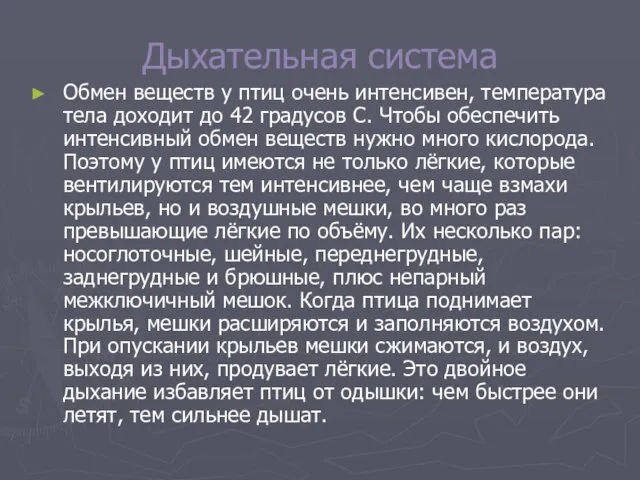 Дыхательная система Обмен веществ у птиц очень интенсивен, температура тела доходит