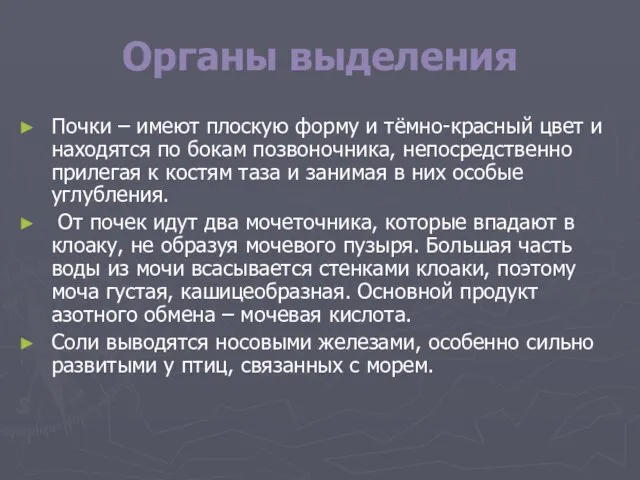 Органы выделения Почки – имеют плоскую форму и тёмно-красный цвет и