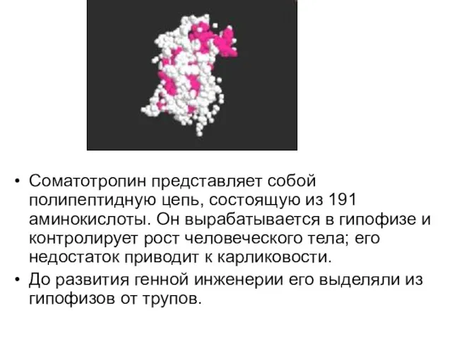 Соматотропин представляет собой полипептидную цепь, состоящую из 191 аминокислоты. Он вырабатывается