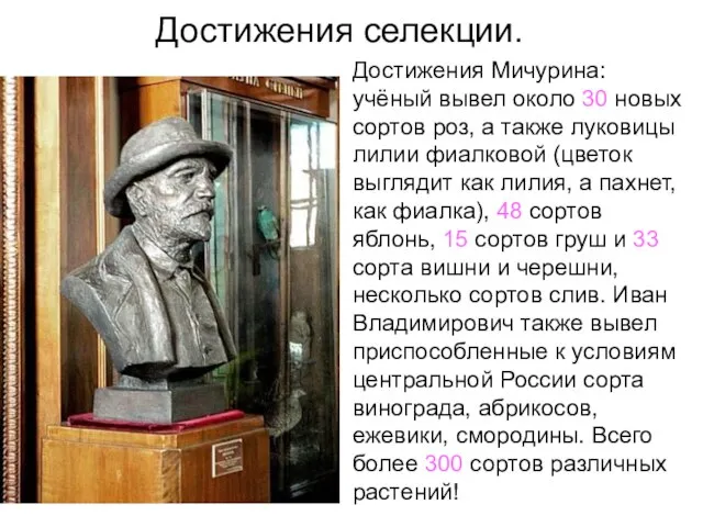 Достижения селекции. Достижения Мичурина: учёный вывел около 30 новых сортов роз,