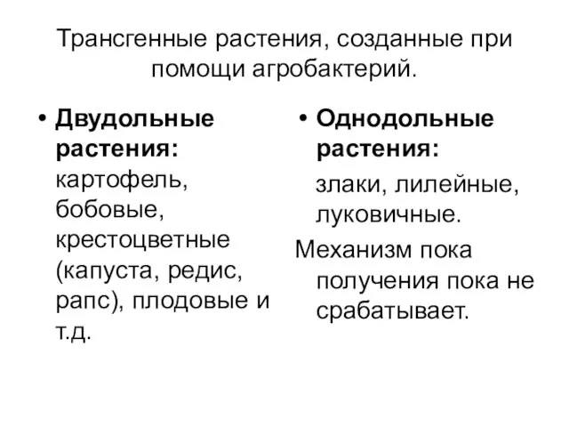 Трансгенные растения, созданные при помощи агробактерий. Двудольные растения: картофель, бобовые, крестоцветные