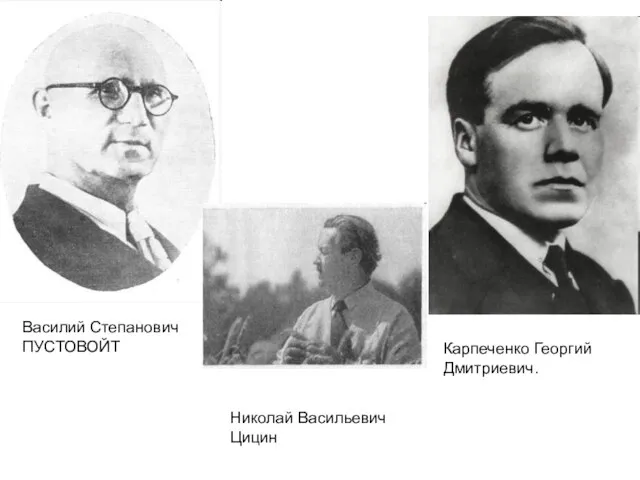 Василий Степанович ПУСТОВОЙТ Карпеченко Георгий Дмитриевич. Николай Васильевич Цицин