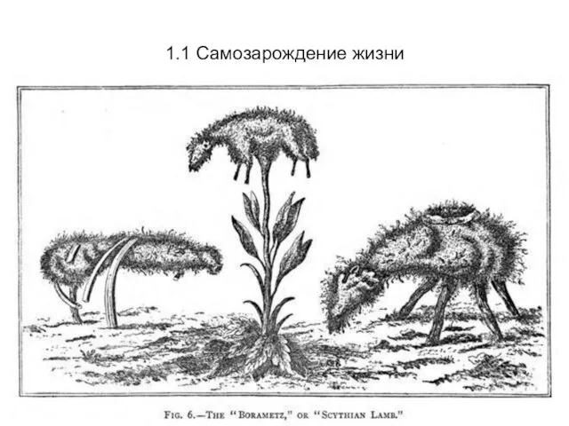 1.1 Самозарождение жизни