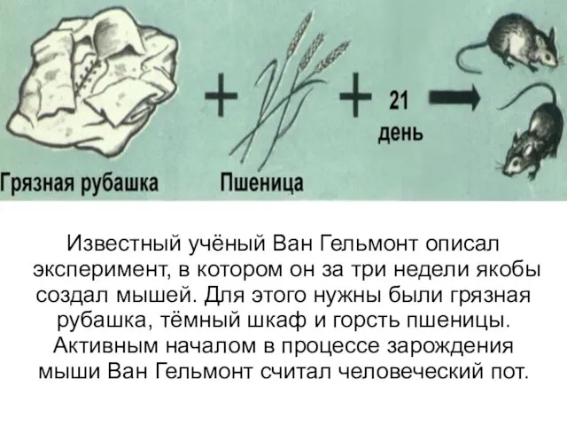 Известный учёный Ван Гельмонт описал эксперимент, в котором он за три