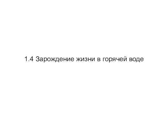 1.4 Зарождение жизни в горячей воде