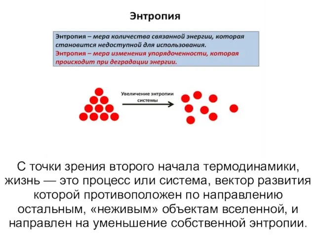 С точки зрения второго начала термодинамики, жизнь — это процесс или