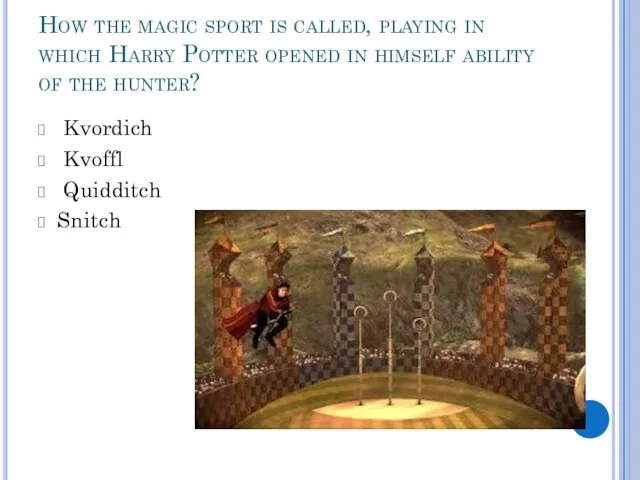 How the magic sport is called, playing in which Harry Potter