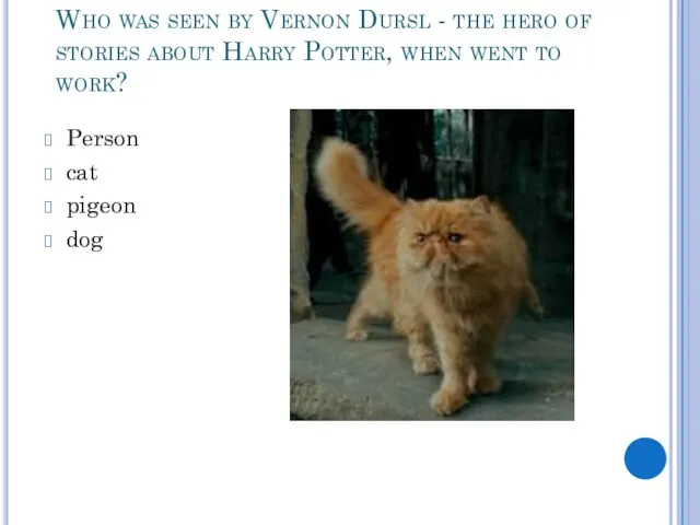 Who was seen by Vernon Dursl - the hero of stories