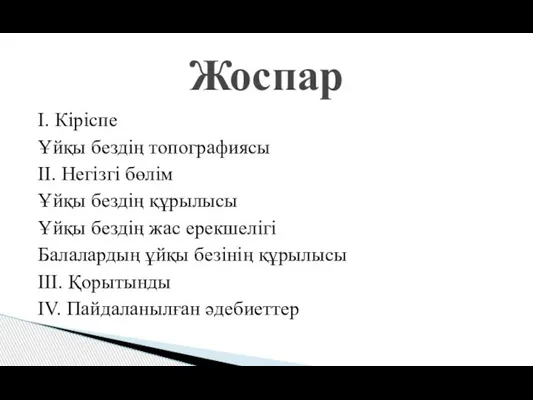 І. Кіріспе Ұйқы бездің топографиясы ІІ. Негізгі бөлім Ұйқы бездің құрылысы